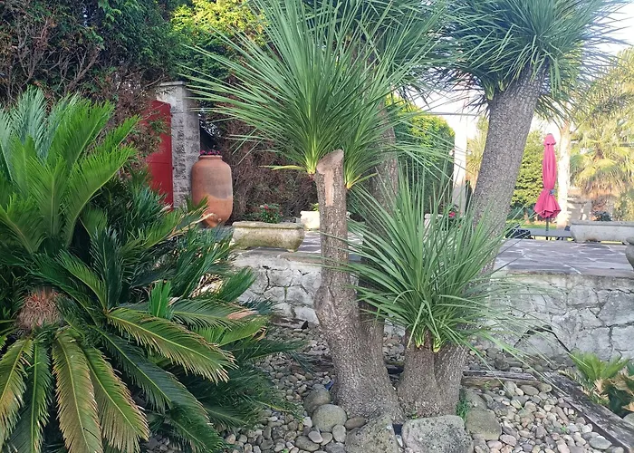 La Torre Del Indiano-Villa-